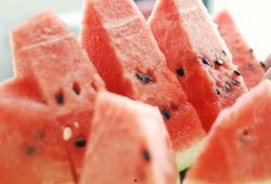 吃瓜要吐瓜籽,品味生活点滴