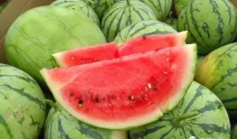 莫西林吃瓜,揭秘网红美食背后的故事