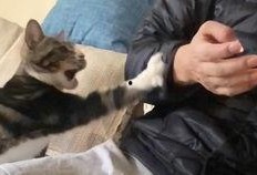 pp吃瓜,pp吃瓜背后的真相与内幕