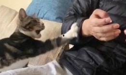 pp吃瓜,pp吃瓜背后的真相与内幕