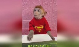 图片爆笑吃瓜,笑到肚子疼的搞笑瞬间大盘点