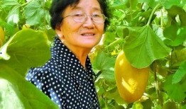 随地吃瓜17,揭秘网络热议背后的真相与趣味