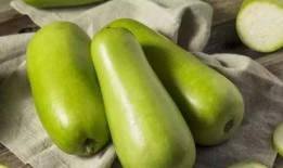 吃瓠子瓜中毒,预防与应对策略