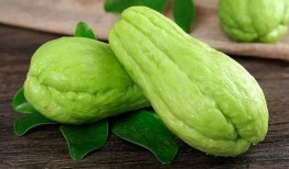 吃巴瓜,探寻民间传统小吃的新篇章