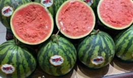 吃瓜8mile,揭秘网络热词背后的故事