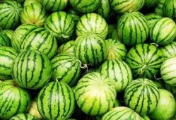 吃瓜中心吃最新最火的瓜