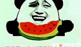 吃瓜梗素材,揭秘娱乐圈那些鲜为人知的幕后故事