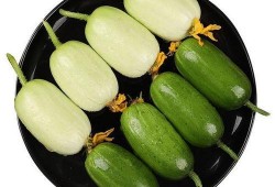 玉女瓜可以炒着吃吗,既可凉拌又宜炒食的养生佳品