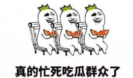 暴力吃瓜群众,暴力吃瓜群众背后的真相