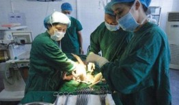 产房护士吃瓜,见证生命奇迹的温馨瞬间