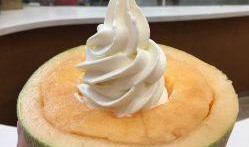 吃韩国哈密瓜雪糕,韩国哈密瓜雪糕，甜蜜口感邂逅清新果香