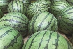 烂瓜头怎么吃,烂瓜头的创意食用指南