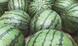 烂瓜头怎么吃,烂瓜头的创意食用指南