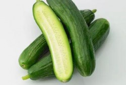 乳瓜配什么吃,开启味蕾新体验