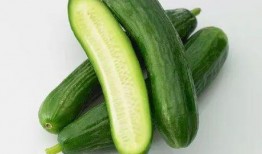 乳瓜配什么吃,开启味蕾新体验