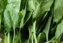 孕妇可以吃瓜菜吗,瓜菜的营养与适宜食用