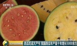 中国最早吃瓜群众,中国“吃瓜群众”的演变与影响