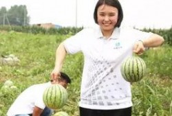 燕郊吃瓜团,揭秘网络热点的幕后故事