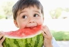 今朝有瓜今朝吃,尽享瓜果美味——今朝有瓜今朝吃的生活哲学