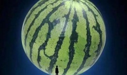 坐等吃瓜视频,揭秘热门视频背后的娱乐真相