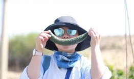 吃瓜眼中的婚姻,揭秘婚姻背后的真实故事