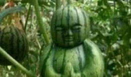 网友在网上吃瓜,揭秘娱乐圈幕后真相