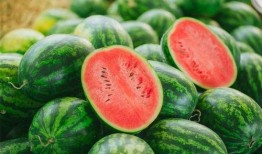 沭阳打架吃瓜,一场打架事件引发的全民“吃瓜”热潮