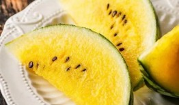 吃瓜 VTber,网络红人的幕后故事与影响力