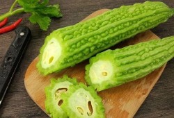 吃瓜 VTber,网络红人的幕后故事与影响力