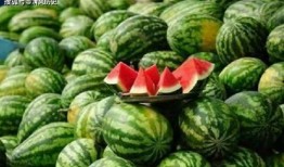 f9吃瓜,揭秘娱乐圈背后的那些事儿