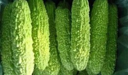 南宁西大建行吃瓜,揭秘校园金融圈幕后故事