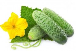 吃瓜系统姜太师,吃瓜系统中的智慧导师