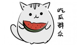 今朝有瓜今朝吃,尽享瓜果美味——今朝有瓜今朝吃的生活哲学