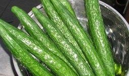 生瓜怎么吃最好,生瓜的多样美味食用指南