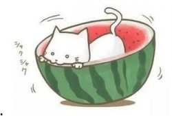 做梦吃瓜遇到邻居,吃瓜偶遇邻居的奇幻之旅