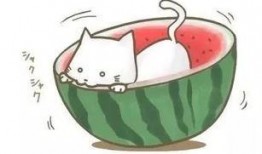 做梦吃瓜遇到邻居,吃瓜偶遇邻居的奇幻之旅