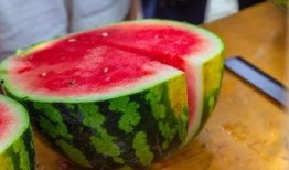 松滋某校吃瓜,揭秘校园生活趣味瞬间