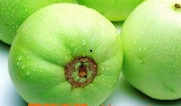 吃田瓜的功效,天然绿色，健康生活新选择