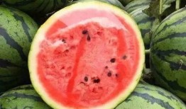 1刀乐吃瓜,揭秘娱乐圈幕后故事