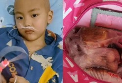 吃瓜吃的鼻子发酸,揭秘吃瓜背后的酸楚人生