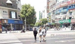 马路吃瓜被撞,一场悲剧引发的交通安全警示