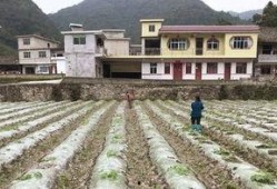 黑白配吃瓜,揭秘娱乐圈的甜蜜与苦涩