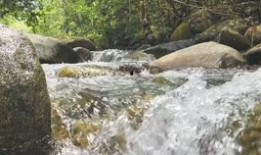 小溪吃瓜,揭秘瓜界那些事儿