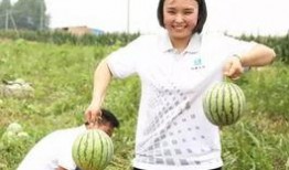 吃瓜团介绍,网络热议背后的真相与趣味