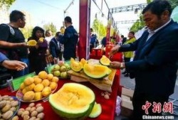 太仓吃瓜新闻事件最新,一场网络热议背后的真相揭秘