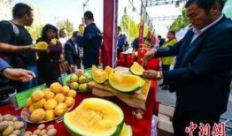 太仓吃瓜新闻事件最新,一场网络热议背后的真相揭秘