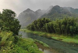 小溪吃瓜,揭秘瓜界那些事儿
