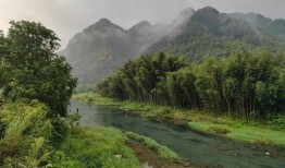 小溪吃瓜,揭秘瓜界那些事儿