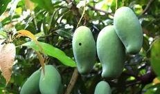 南宁西大建行吃瓜,揭秘校园金融圈幕后故事