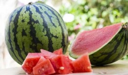 吃想吃的瓜,探寻那令人垂涎的甜蜜诱惑